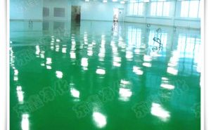 水性環(huán)氧地坪成膜一個(gè)都不能少【東鑫凈化】